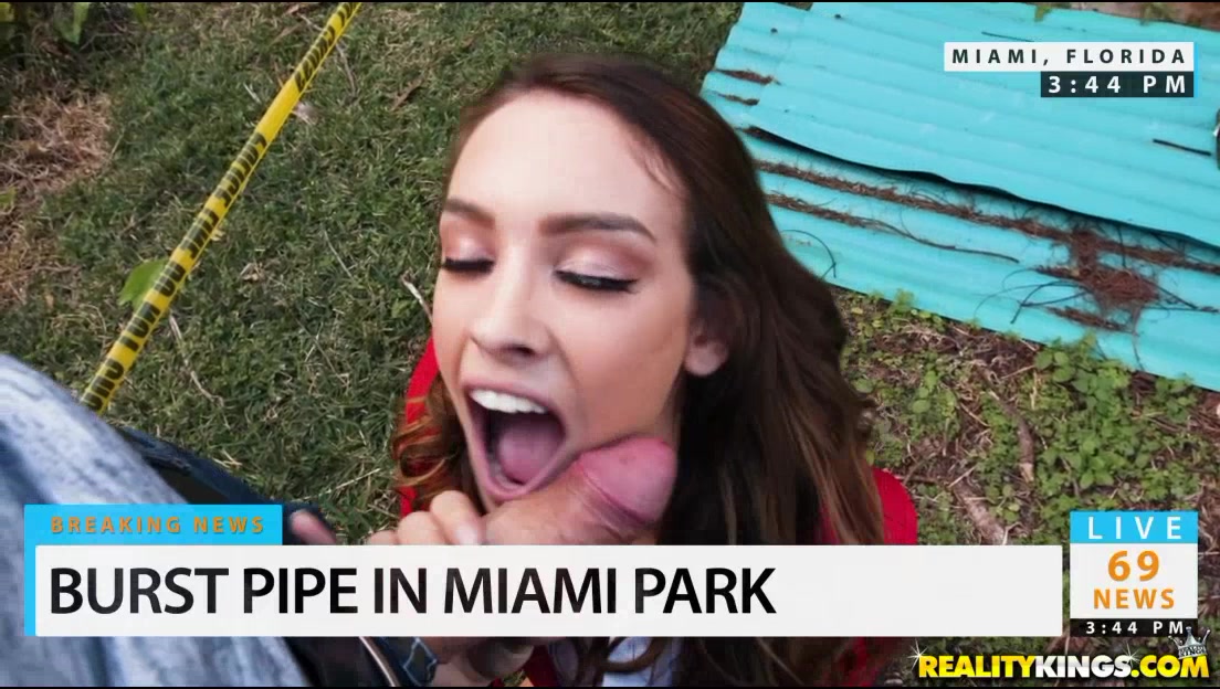 News Reporter Porn