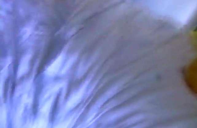 Naked amateur gets taped in the shower before sucking cock hard