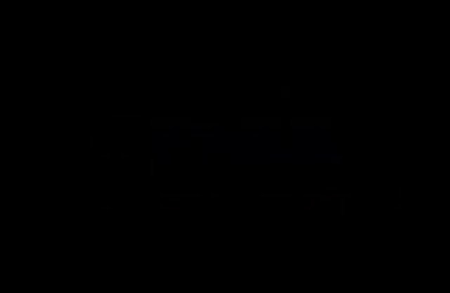 Camera captures a black lovelace who makes a naked girl enjoy sexy penis