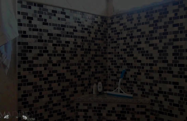 Spicy nude babe recorded when touching herself in the shower