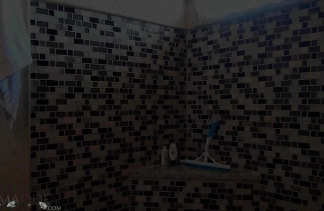 Spicy nude babe recorded when touching herself in the shower